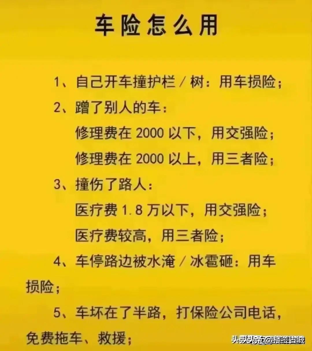 參考消息數(shù)字報(bào)，重塑新聞行業(yè)的數(shù)字化先鋒，重塑新聞行業(yè)先鋒，數(shù)字化引領(lǐng)下的參考消息數(shù)字報(bào)時(shí)代