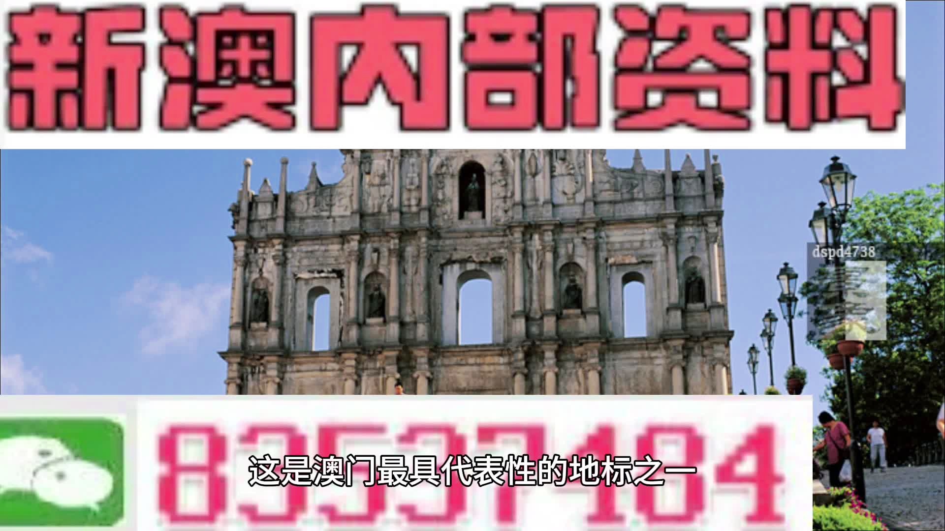探索澳門未來，2025新澳門免費精準(zhǔn)資料解析，澳門未來展望，2025新資料解析與免費精準(zhǔn)資料探索