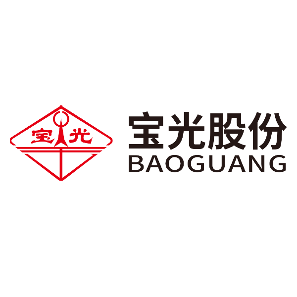 寶光股份，探索企業(yè)成長之路，寶光股份，企業(yè)成長之路的探索者